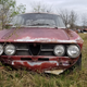 Illustration for article titled There's A Field Of Old Alfa Romeos Just Waiting For You To Take Them Home